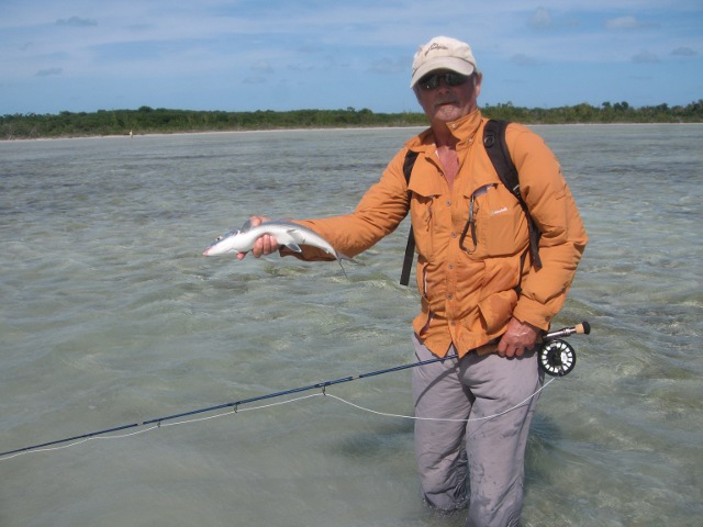 Abaco Bonefish